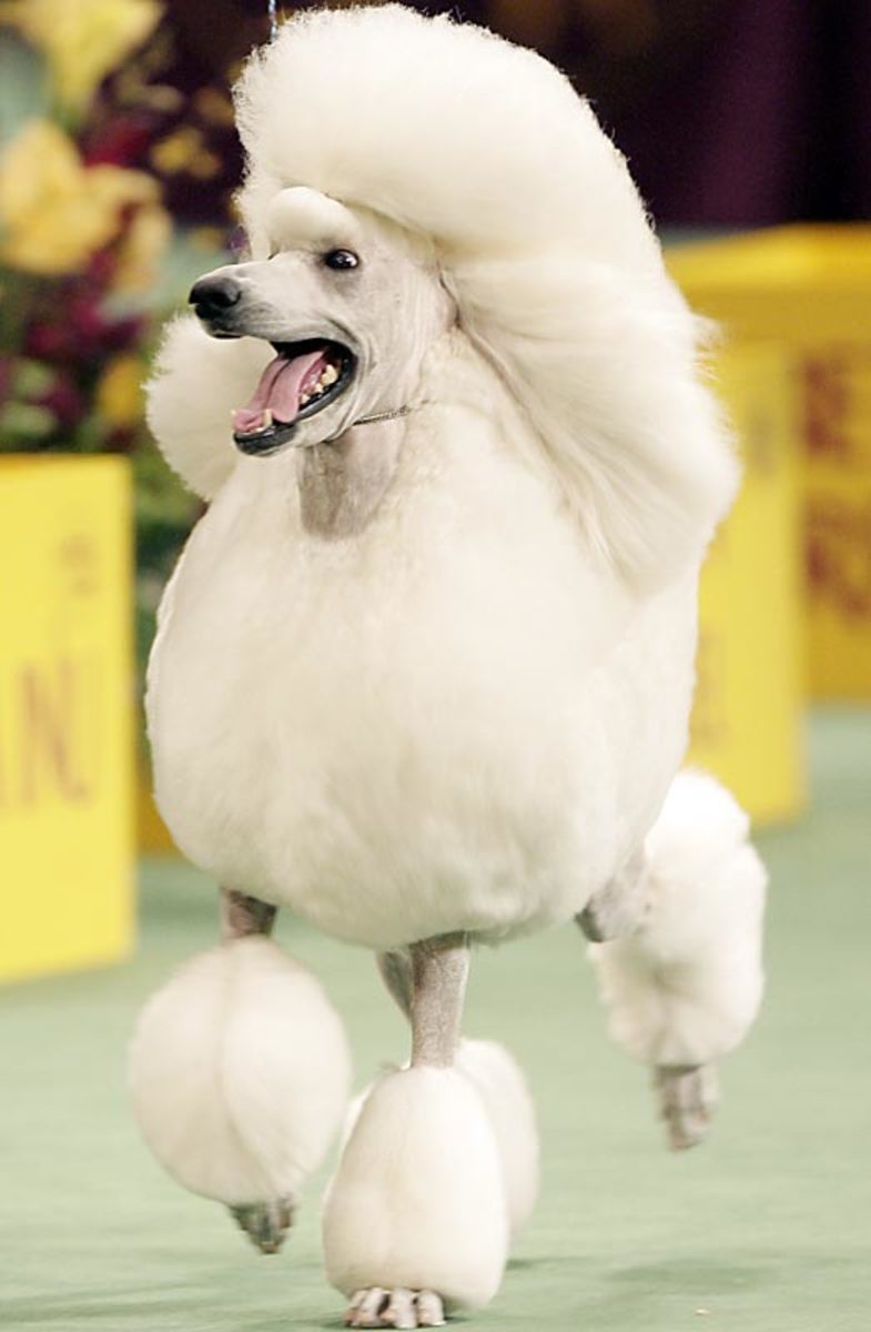 65655.jpg